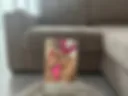 HOME 18+