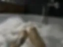 Ножки 