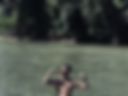 Torso