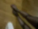 Foot