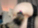 Tails Buttplug inside my ass