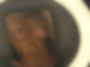 /////////