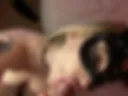 Mike’s dick