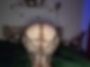 Ass