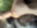 My Ass