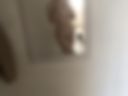 Bvc