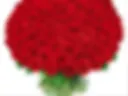 Send me Roses:) ask about