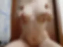 Сиси
