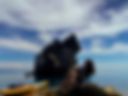 Sea)))))))))