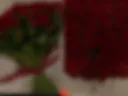 .🌹.