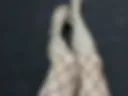 Legs