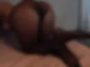 13-doggy in tights 311 tk