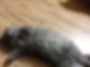 ahhh
