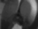 ALBUM 27