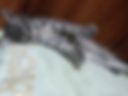 My kitten
