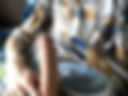 Here 18+