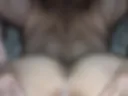 Stretched cunt