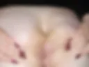 popi