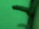 Album1