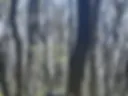 in