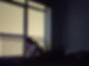 ass