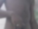 AA