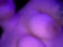 Naked breasts 🔥Nipples ❤️