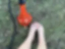 Feet