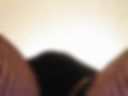 20 tkn Stockings, tights
