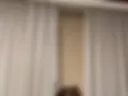 ass doggy