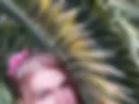 Sero