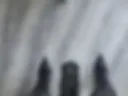 Feet in sandals