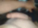 Poli