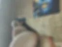 Doggy