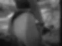 🍑