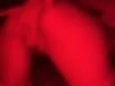 Did