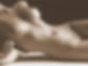 №3