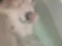Yu