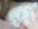 Sweet cock