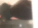 Ass