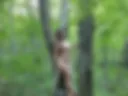 in the forest