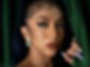 CONTESSA's SECRET FILE