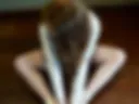Ballerina