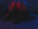 butt