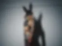 Bad Bunny