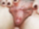4.