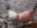 My ass