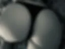 Your Sexual Fantasies