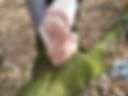 feet