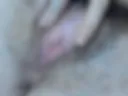 Pussy